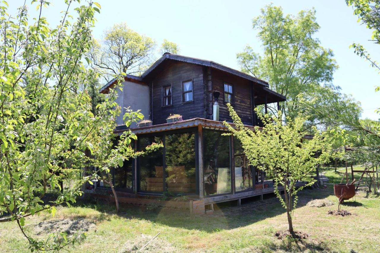 House With Backyard And Winter Garden In Agva Villa Geredeli Exteriör bild