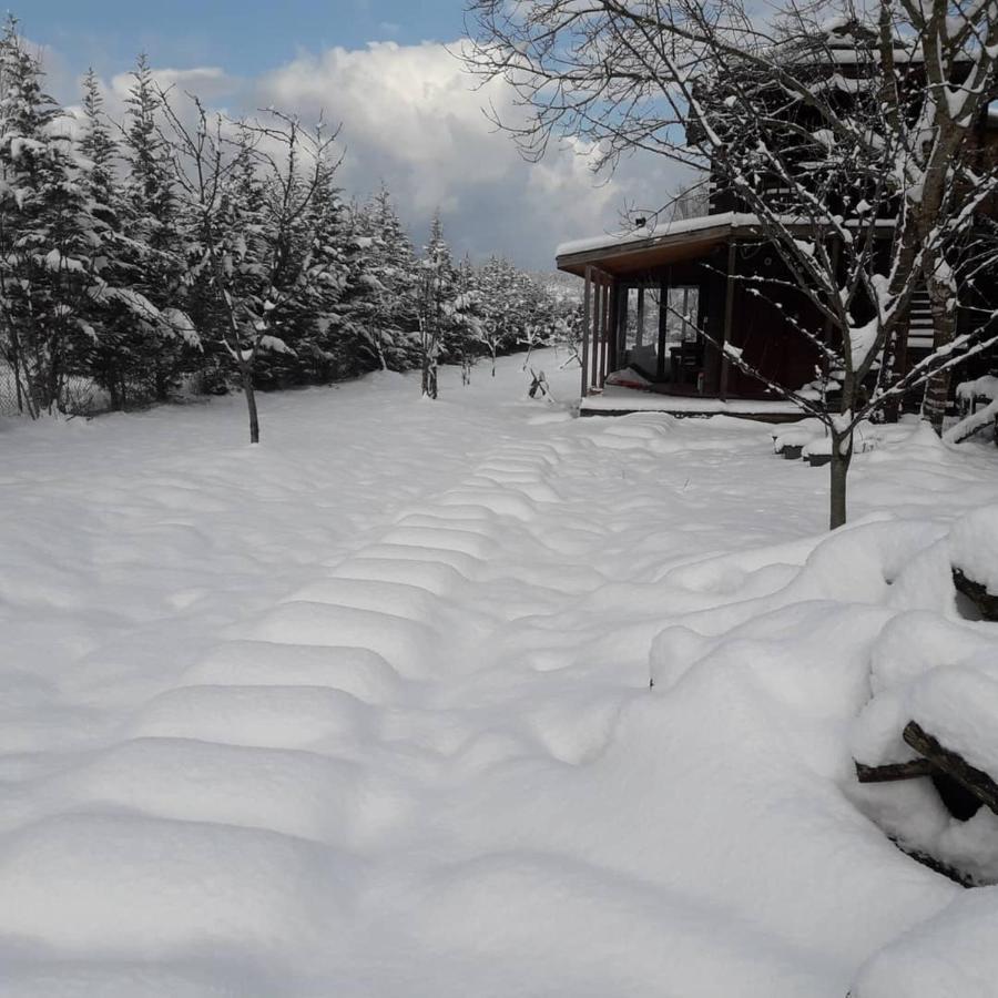 House With Backyard And Winter Garden In Agva Villa Geredeli Exteriör bild