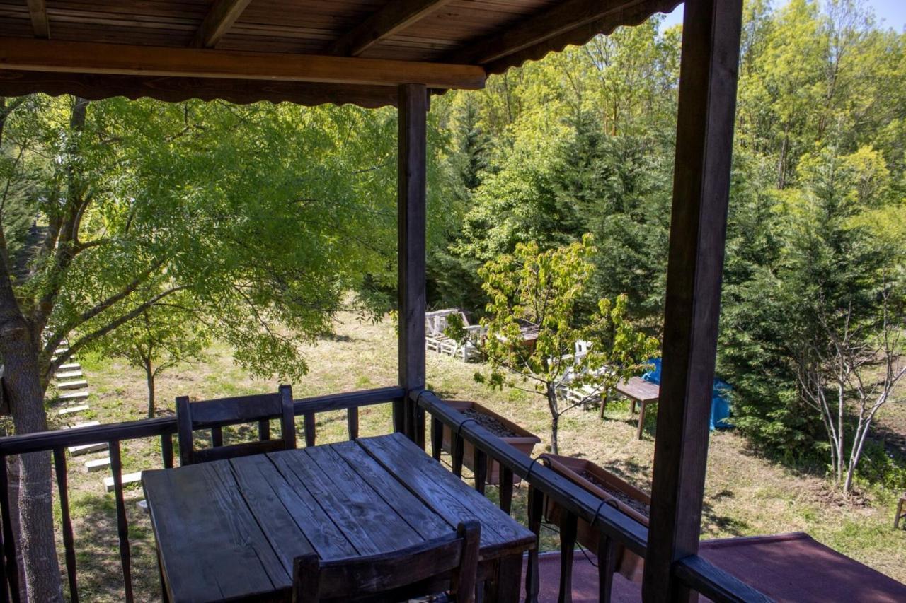 House With Backyard And Winter Garden In Agva Villa Geredeli Exteriör bild