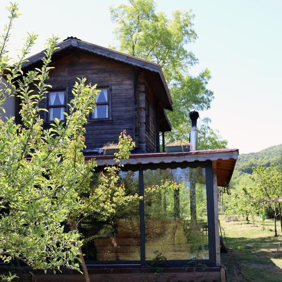 House With Backyard And Winter Garden In Agva Villa Geredeli Exteriör bild